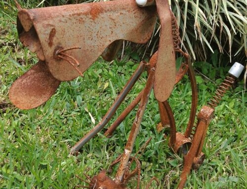 QUE SIGNIFICA “CONCEPTO” EN UN JARDIN